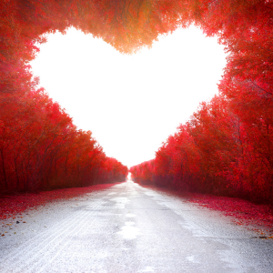 love and relationships reading