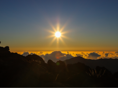 oracle card readings